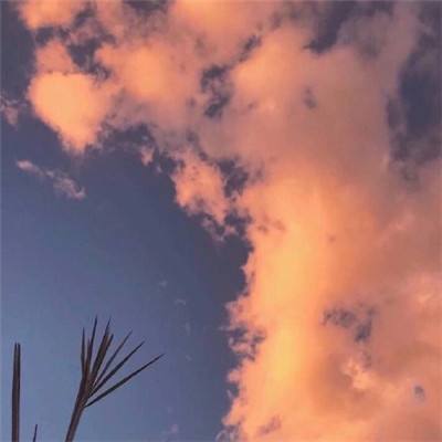 博麟画质大师专业版下载